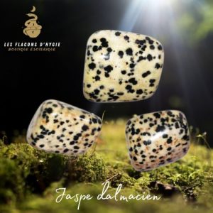Pierre roulee jaspe dalmatien