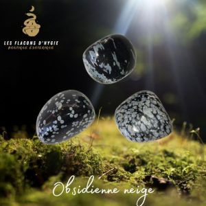 Pierre roulee obsidienne neige