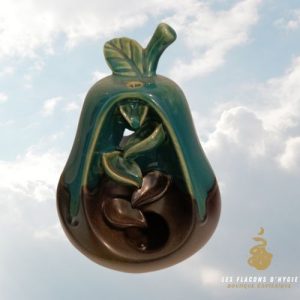Porte encens céramique poire backflow