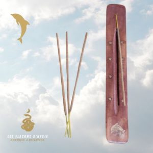 Porte encens ski simple bois - dauphin