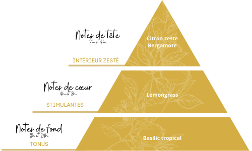 Complexe he fraicheur – Image 2