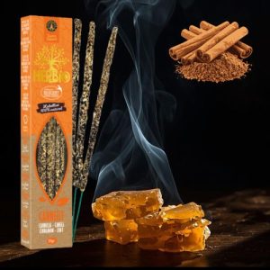 Encens Smudge Ecocert Herbio Cannelle 20g